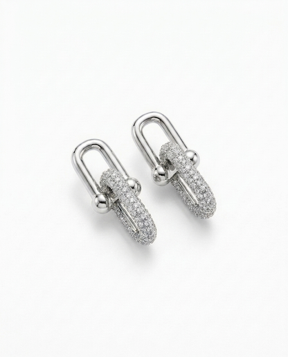 Locked In Earrings