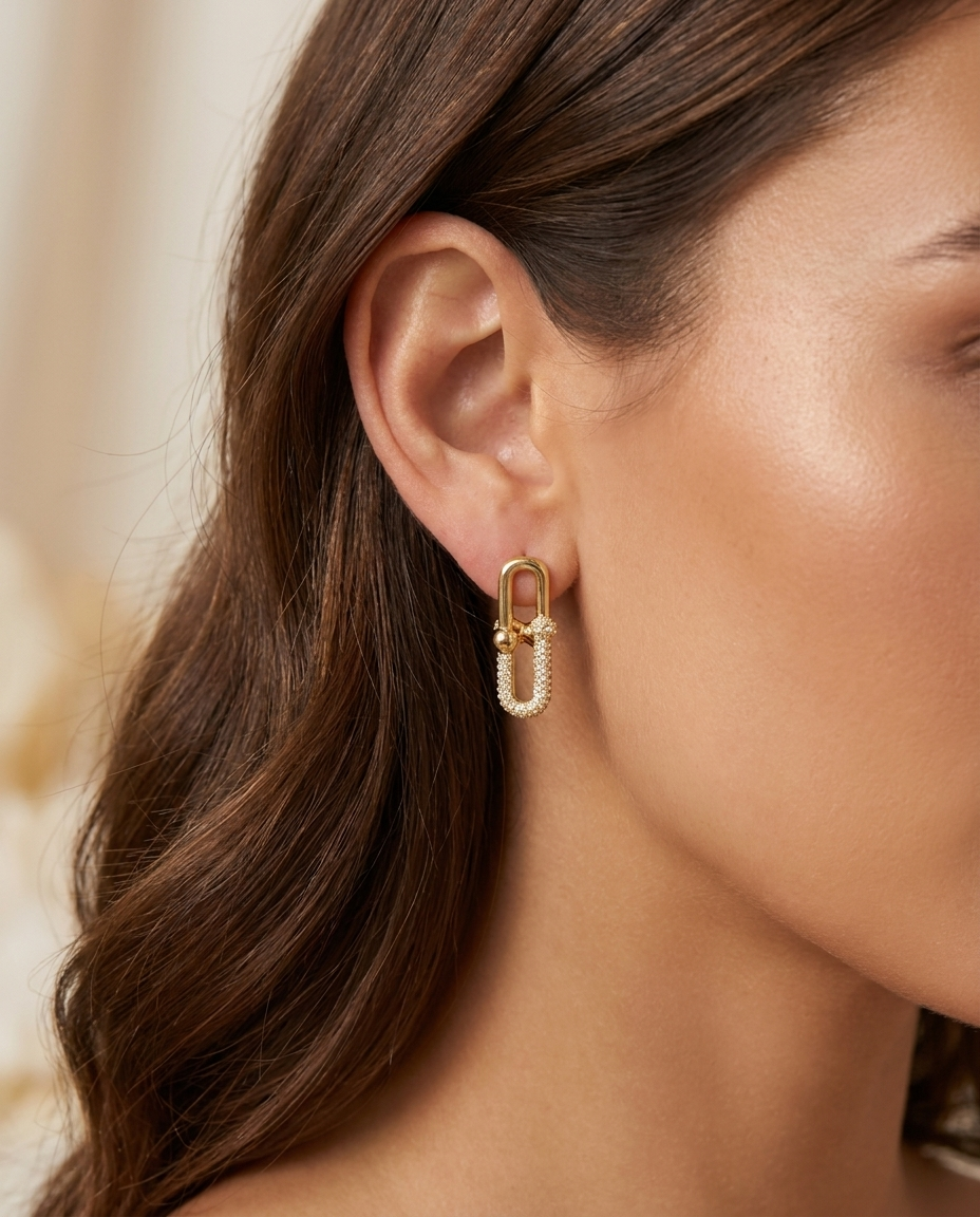 Locked In Earrings