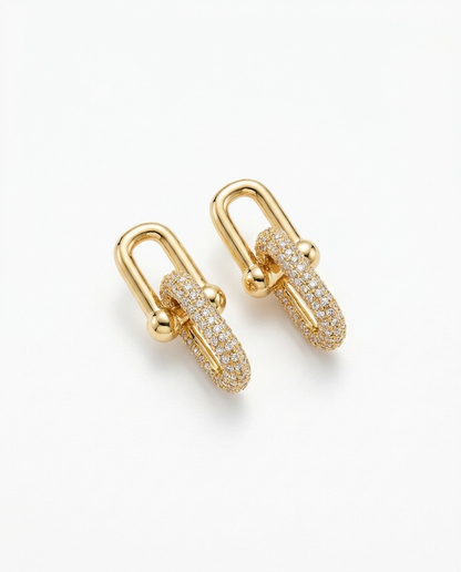 Locked In Earrings